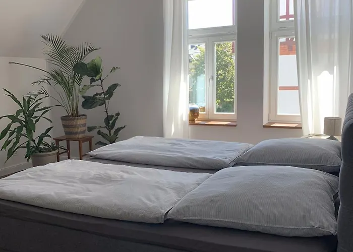 Apartmán Alexandra 1897 Vilma