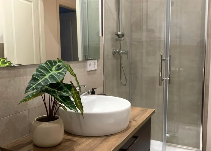 Apartmán Alexandra 1897 Vilma